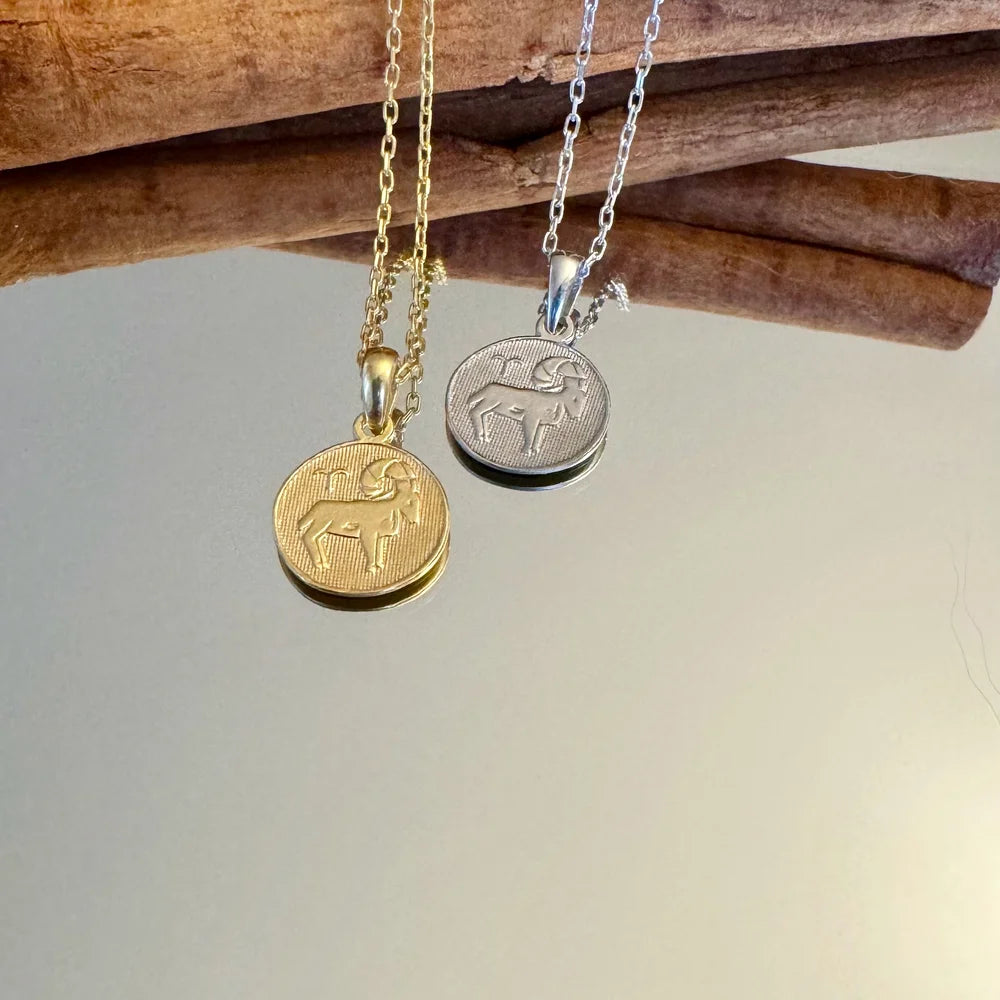 Elegant gold and silver coin necklaces featuring a stylish horse design, perfect for women seeking unique minimalist jewelry.