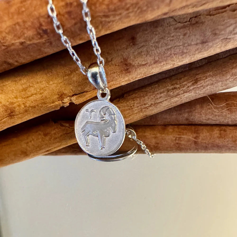 Silver Capricorn zodiac pendant necklace, ideal for women seeking minimalist astrological jewelry for everyday wear.