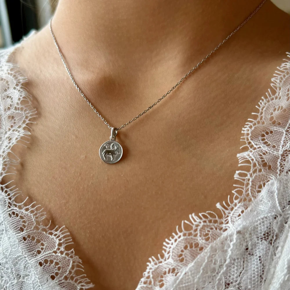 Delicate silver necklace featuring a zodiac charm pendant, perfect for women seeking a classic and personalized accessory.