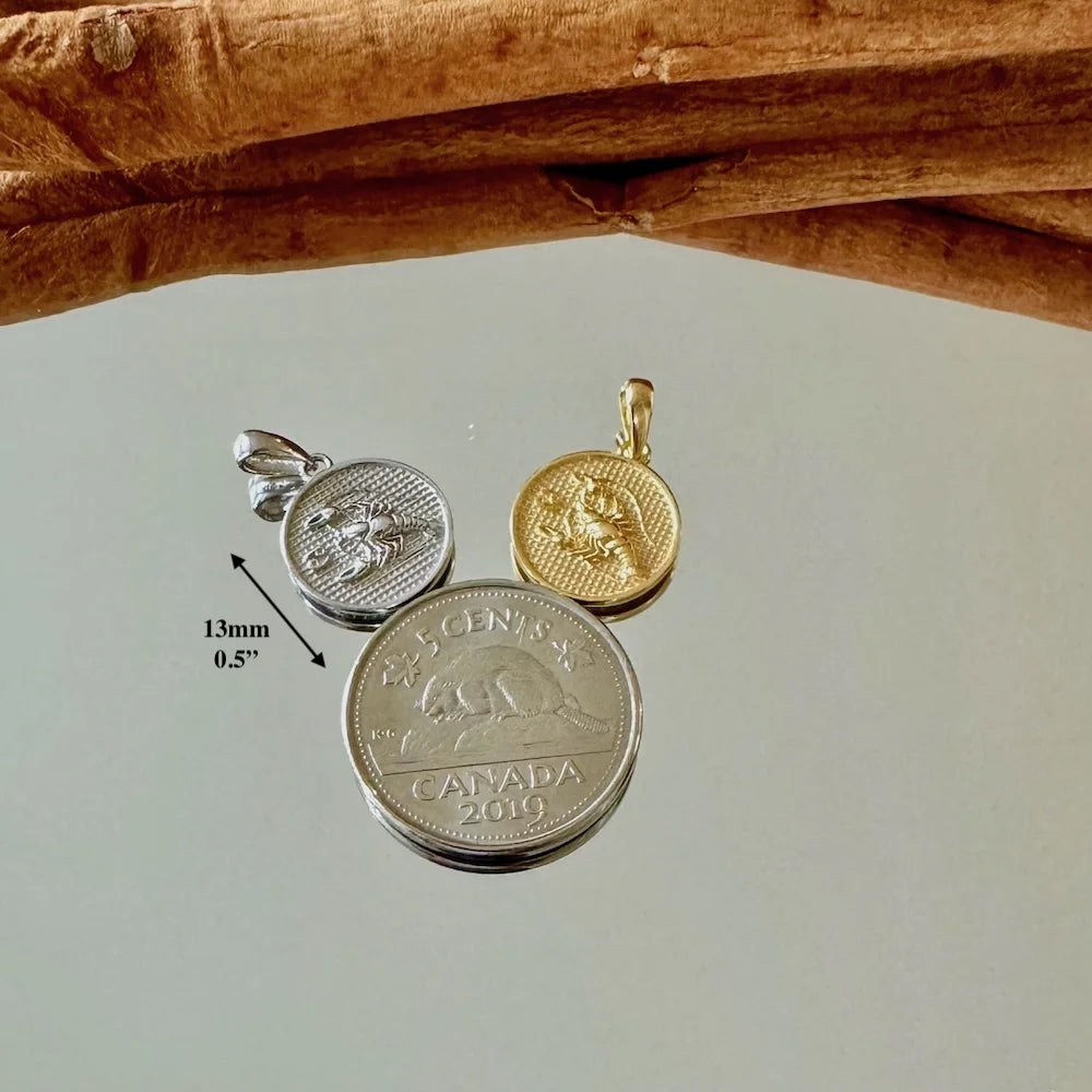 Silver and gold coin pendants, perfect for unisex wear, adding a vintage touch to any outfit for casual occasions.