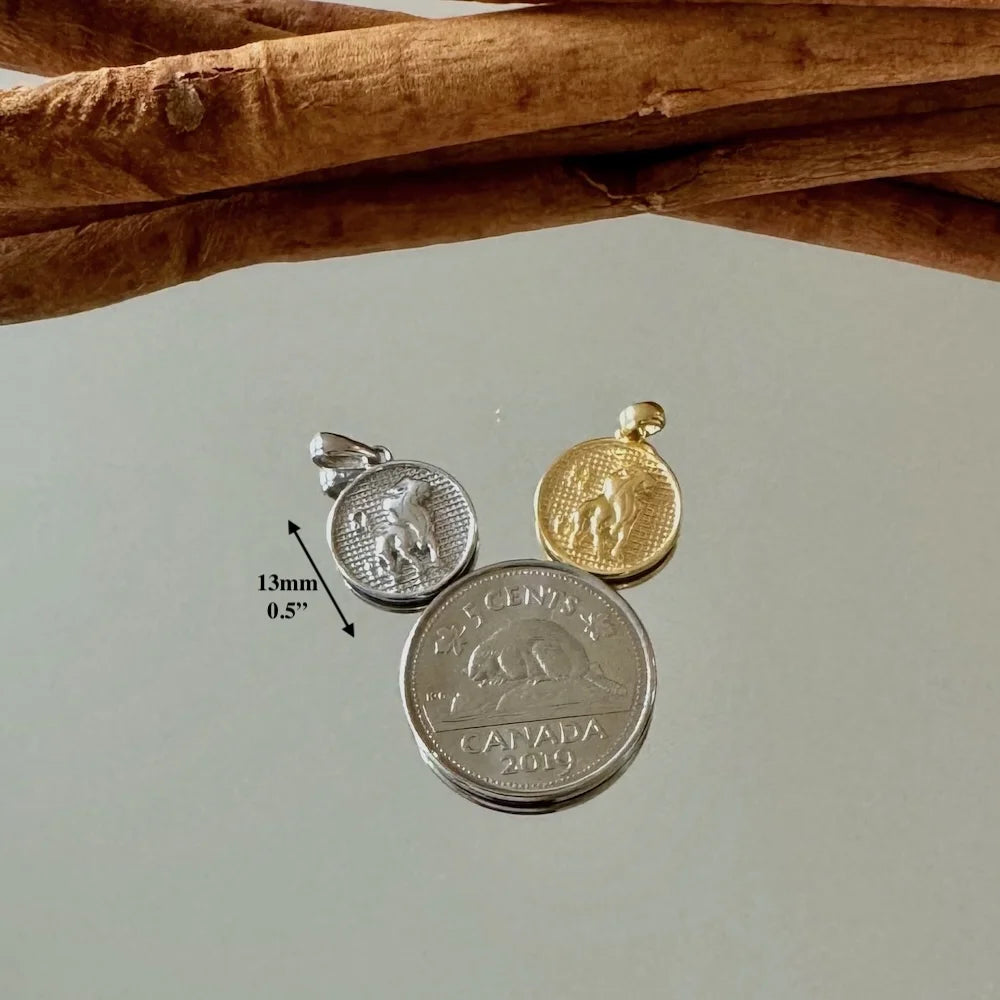 Silver and gold coin pendants for men and women, perfect for casual or vintage-style outfits.
