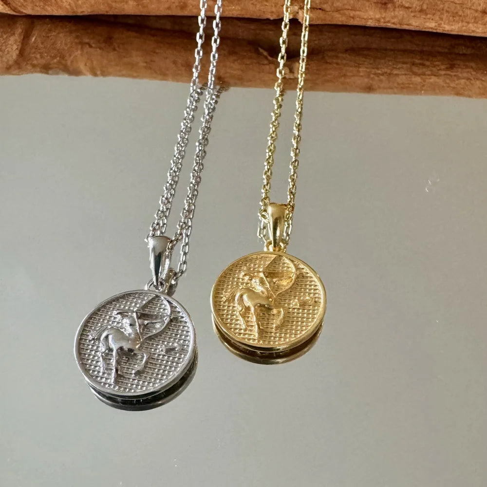 Elegant gold and silver zodiac pendant necklaces for women, featuring intricate designs, perfect for astrology enthusiasts.