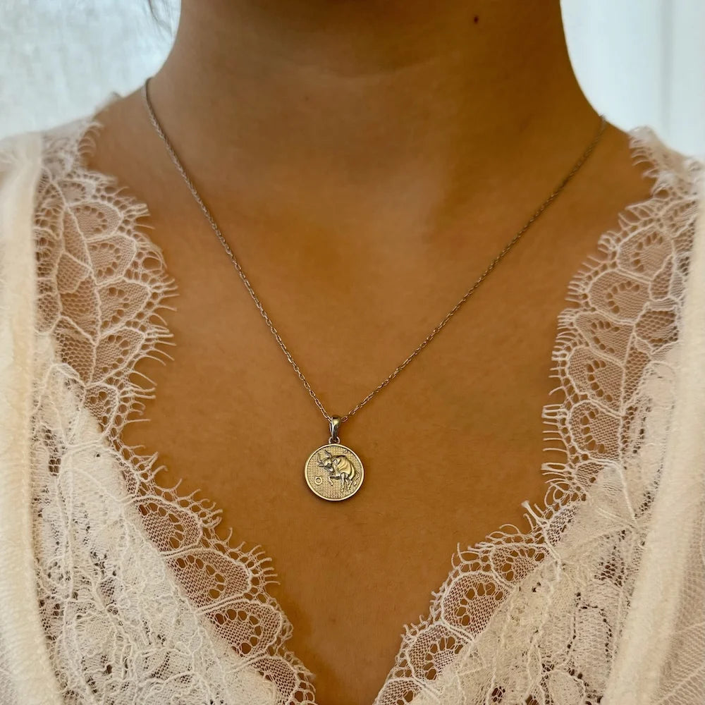 Sterling silver pendant necklace featuring a vintage coin design, perfect for women seeking a classic, elegant look.