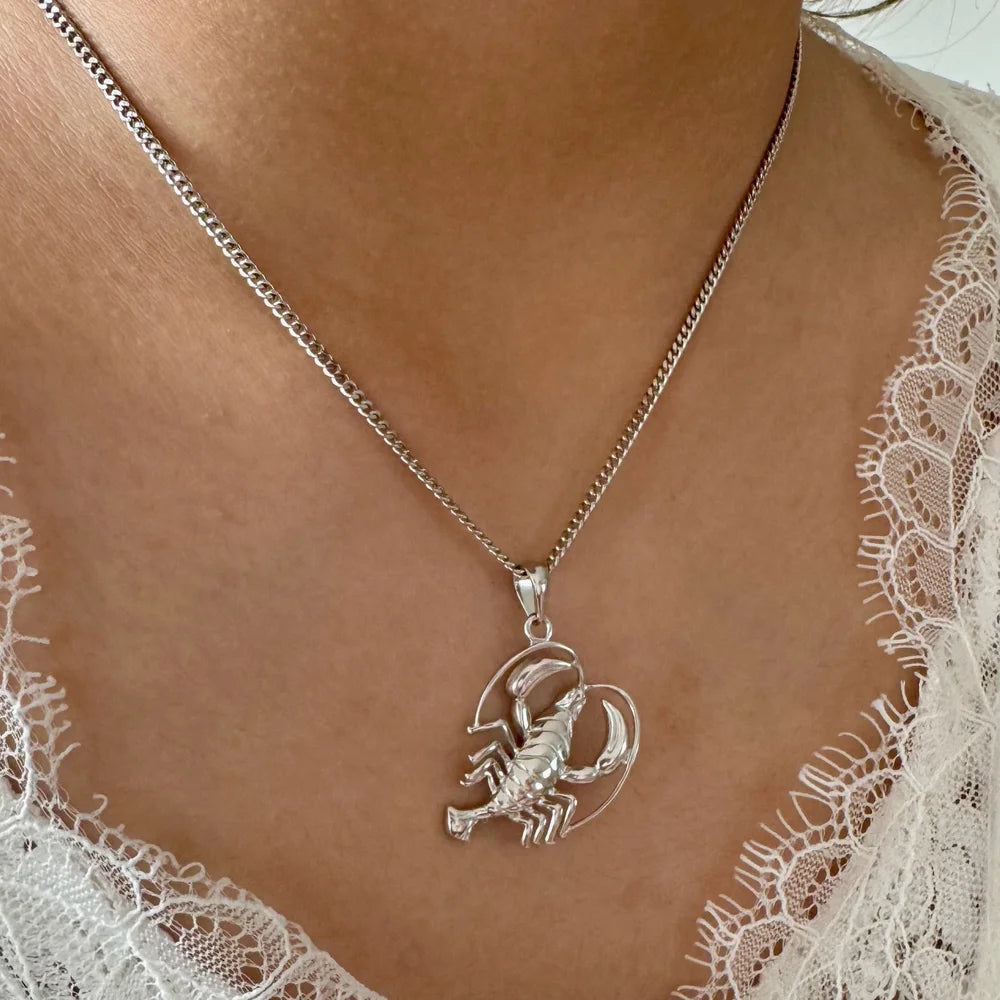 Sterling silver Scorpio pendant necklace, perfect for women who appreciate unique, zodiac-inspired jewelry.