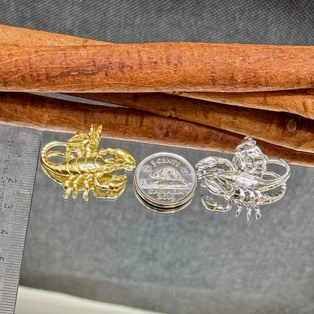 Gold and silver scorpion brooches, perfect for women who love unique, bohemian-style jewelry.