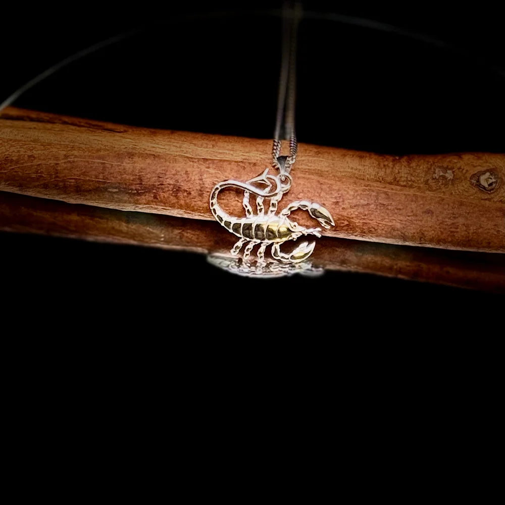 Sterling silver scorpion pendant necklace with gold accents, perfect for women who love unique, bohemian style jewelry.