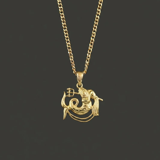 Zodiac Silhouette Aquarius Necklace - Solid Gold Zodiac Pendant