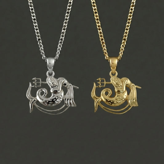Zodiac Silhouette Aquarius Necklace - Silver Zodiac Pendant