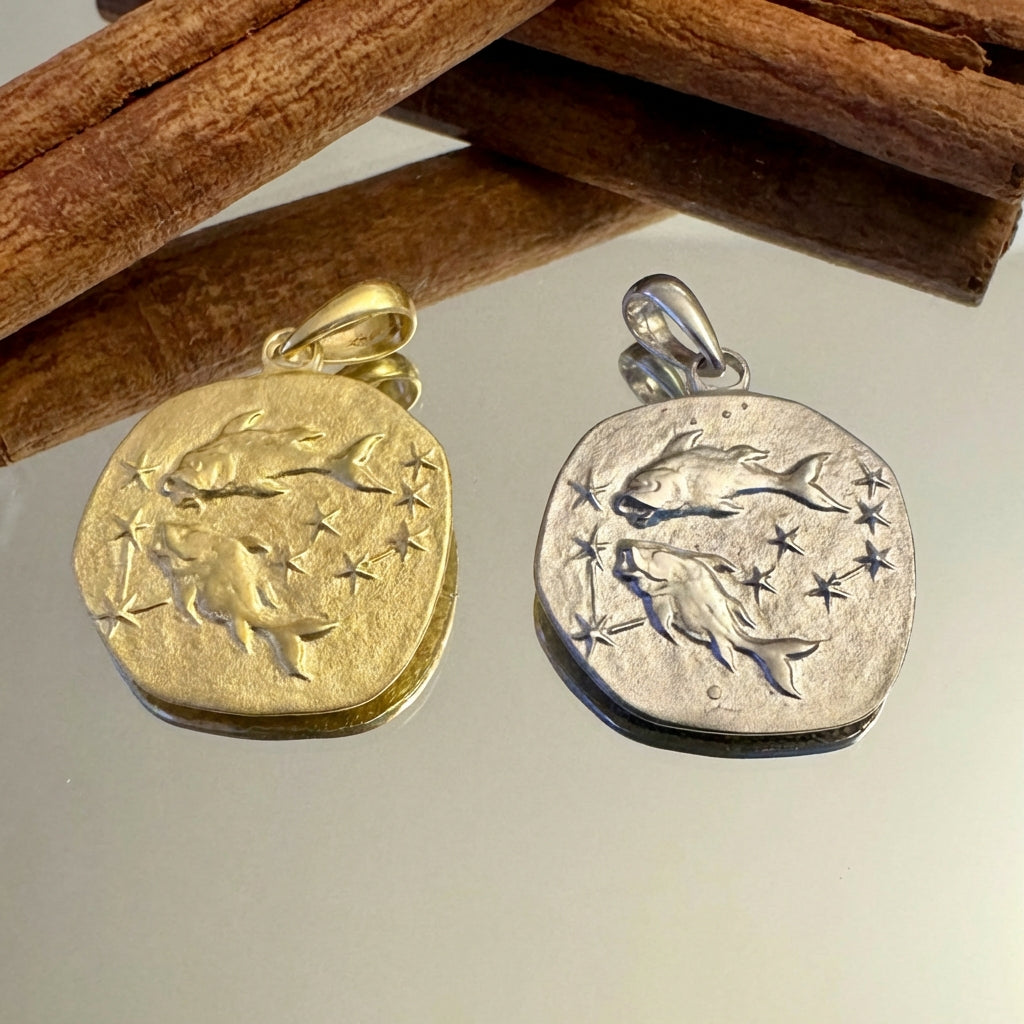 Stellar Signs Pisces Necklace - Silver Zodiac Pendant