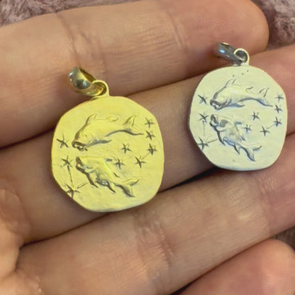 Stellar Signs Pisces Necklace - Silver Zodiac Pendant