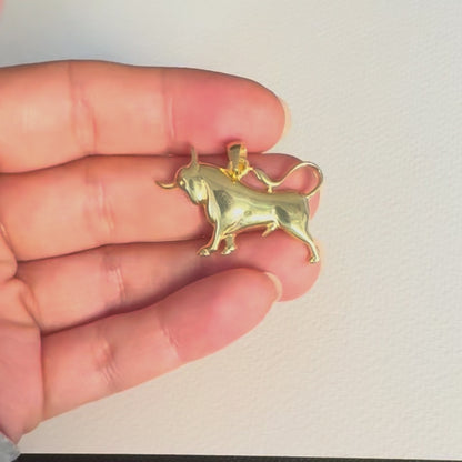 Zodiac Silhouette Taurus Necklace - Solid Gold Zodiac Pendant