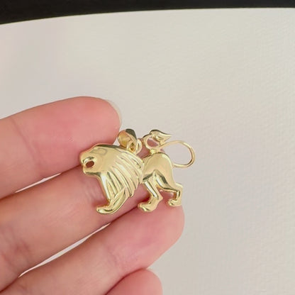 Zodiac Silhouette Leo Necklace - Silver Zodiac Pendant